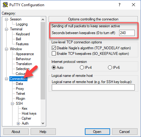 putty ssh session